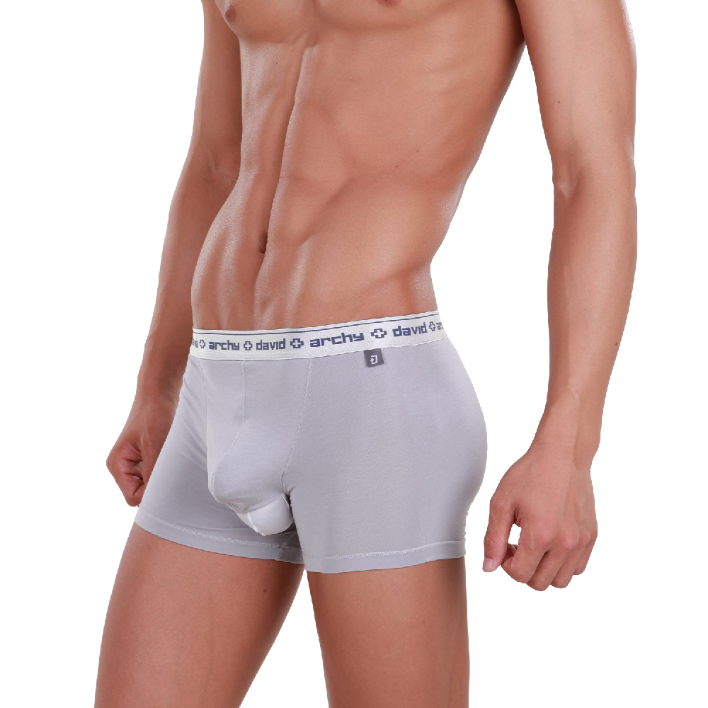 David Archy Men’s 4 Pack Micro Modal Separate Pouch Trunks by theme230-underwear