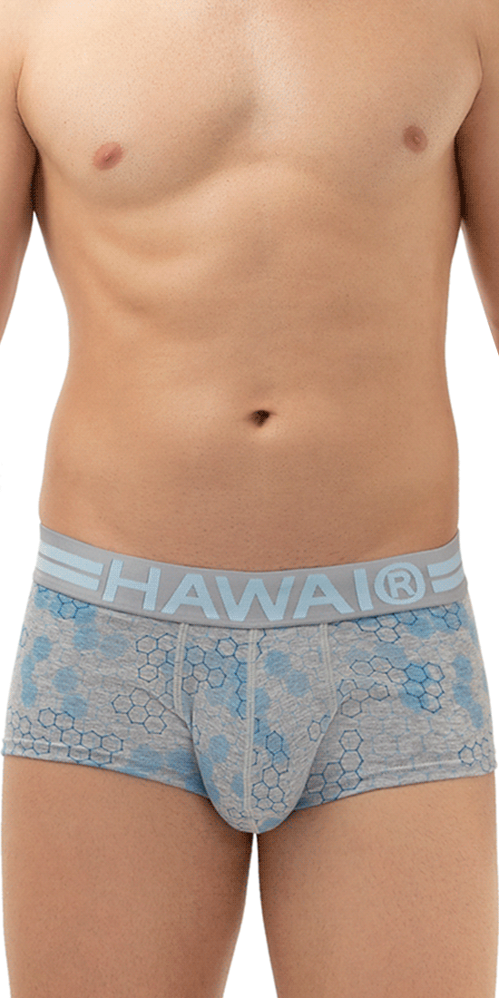 Hawai 42231 Cotton Trunks Gray by Hawai