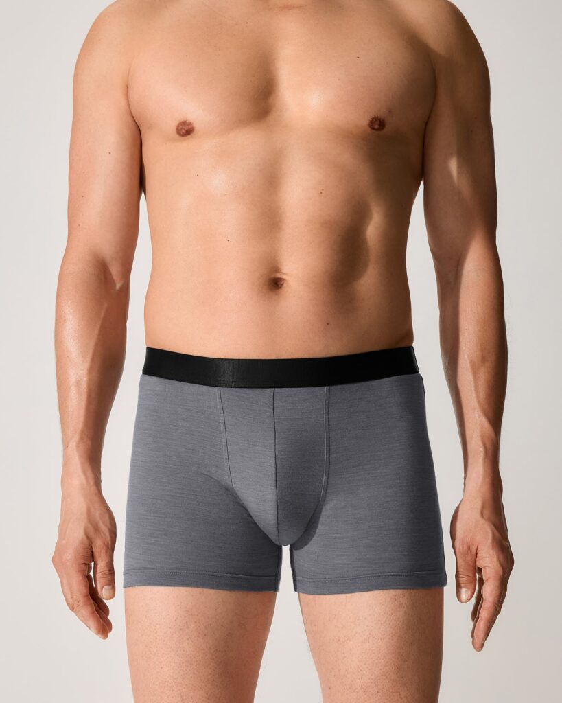 Merino Blend Boxer Brief by CDLP